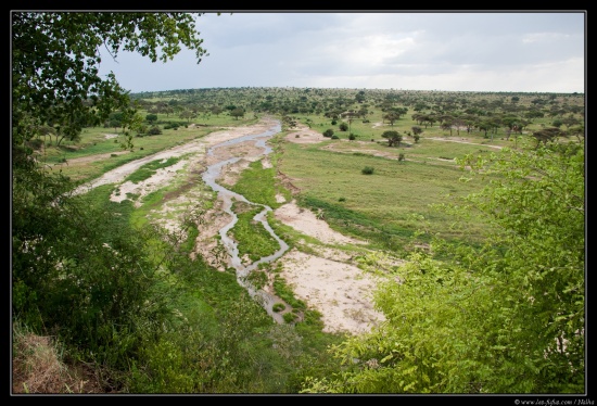 Tanzanie 2014