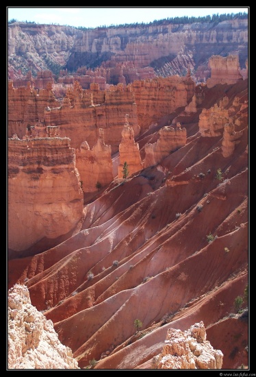 b111006 - 0239 - Bryce Canyon