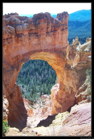 b111006 - 0178 - Bryce Canyon