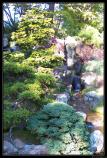 b201006 - 1134 - Japanese Garden