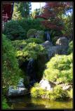 b201006 - 1140 - Japanese Garden