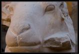 b071121 - 5550 - Temple de Karnak