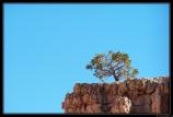 b111006 - 0249 - Bryce Canyon