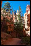 b111006 - 0280 - Bryce Canyon