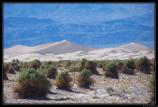b181006 - 0967 - Death Valley