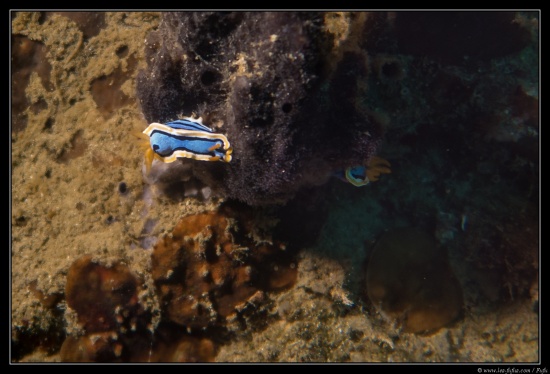 Cebu / Philippines 2018