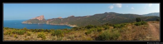 Corse