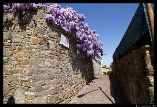 Toscane