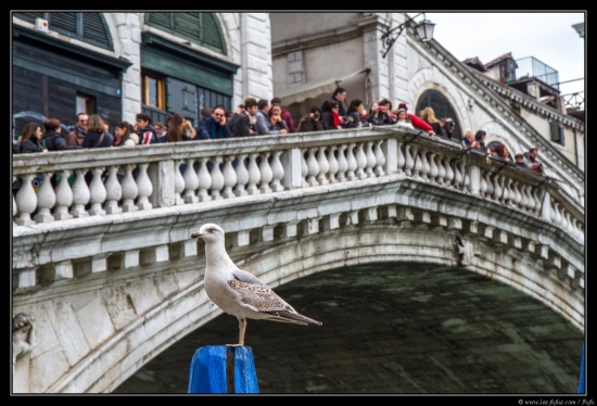 Venise